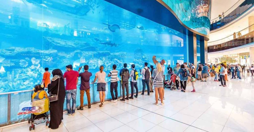 13 Free things to do in Dubai - Dubai Aquarium & Underwater Zoo