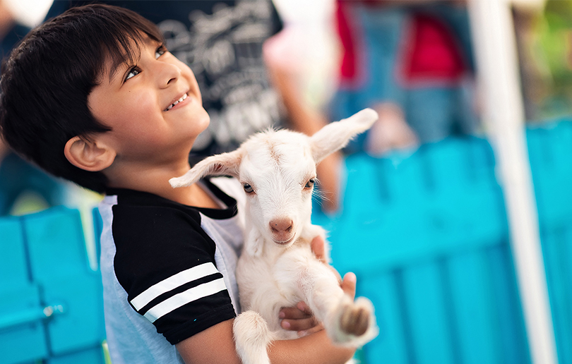 Summer activities for kids in Dubai - Petting Festival at Dubai Festival Plaza