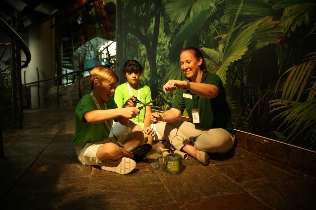 Summer activities for kids in Dubai - Summer Camp in the Rainforest - The Green Planet Dubai