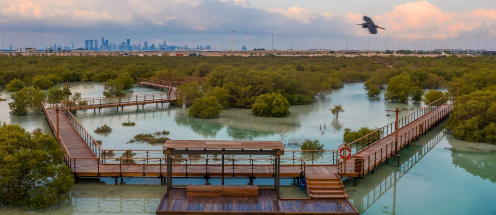 12 beautiful nature spots in the UAE you need to visit