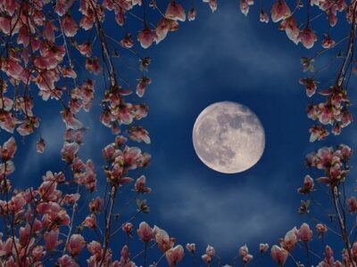 Flower Moon
