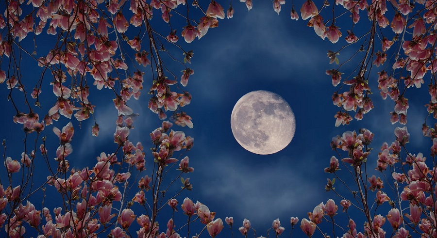 Flower Moon