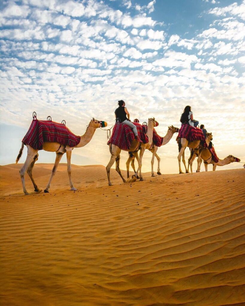 Desert Safari Adventures in Dubai