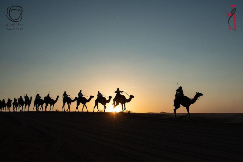 Annual Camel Trek